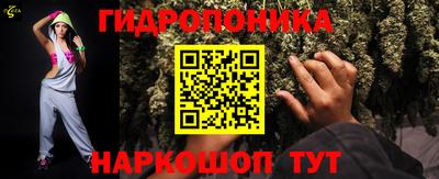 стафф Краснокаменск